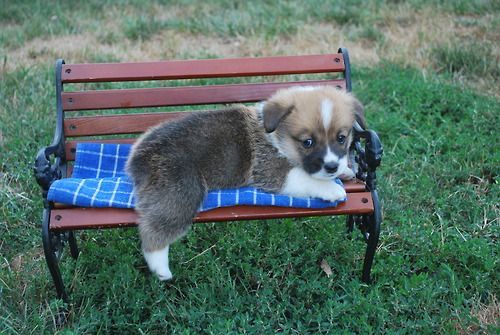 Sleeping on a park bench…