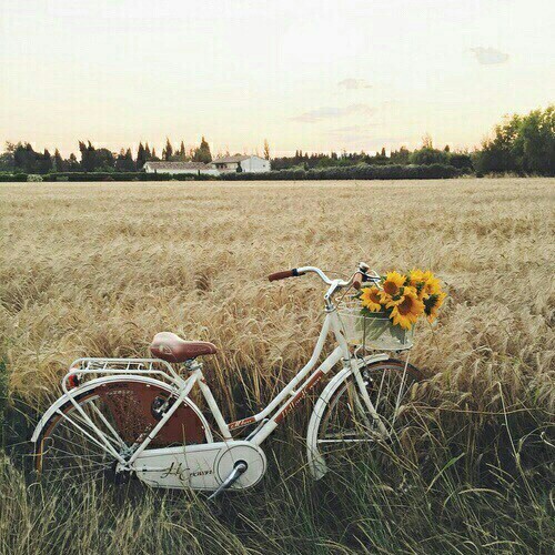bicycle aesthetic | Tumblr