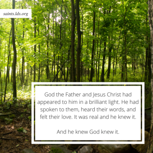 Facts about the Sacred Grove - By the time 11-year-old Joseph...