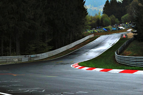 f1championship - makemechoose F1 Track - Monza or Nurburgring...