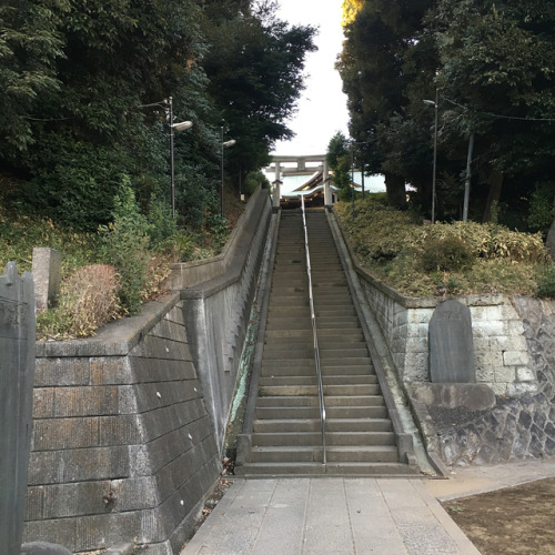 赤羽台の端にある赤羽八幡神社では、武蔵野台地の高低差をはっきり見ることができた。赤羽八幡は新幹線の上に鎮座する日本唯一の神社です（...
