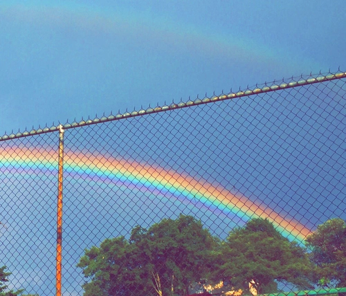 Rainbow . Tumblr_o104hfae0V1u0f6wqo1_500