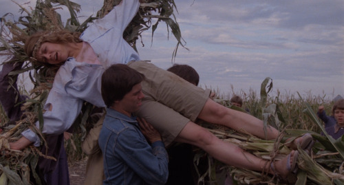 luciofulci - Children of the Corn (1984)dir. Fritz Kiersch (x)