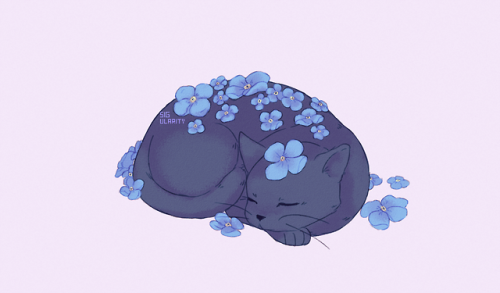 sig-ularity:Some cute cats with flowers that I did for...