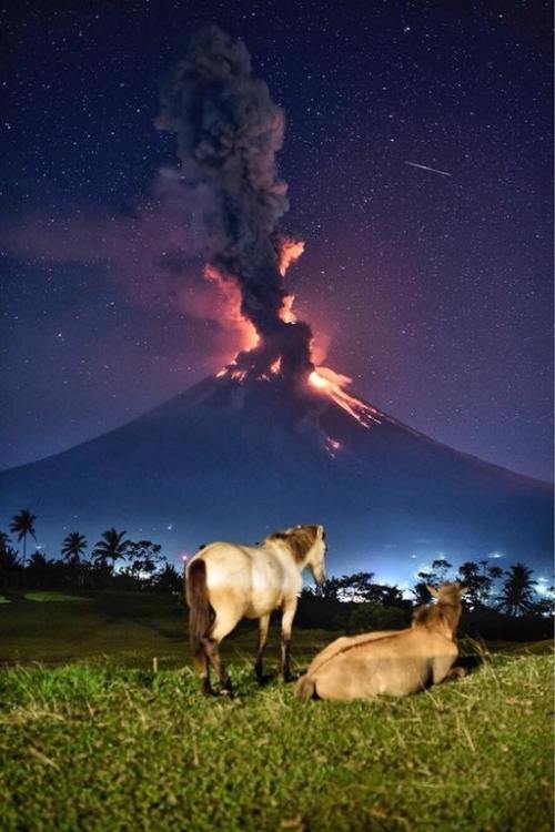 sixpenceee - Philippines’ exploding Mount Mayon. (Source)