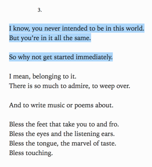 highhawkseason:Mary Oliver, from “the fourth sign of the zodiac”...