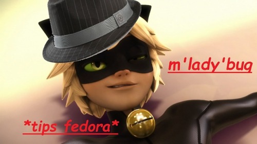 its-chat-not-cat - when adrien almost said “m’lady” in...