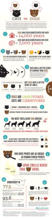 live-infographic - Cats vs Dogs via @...