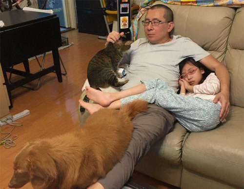 paper-mario-wiki - catsbeaversandducks - Father, Daughter And...