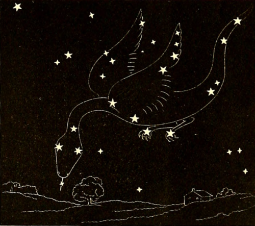 nemfrog - Draco the Dragon. The constellation depicted as...
