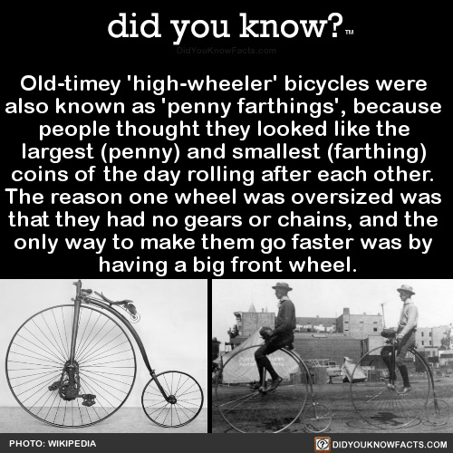 old-timey-high-wheeler-bicycles-were-also-known