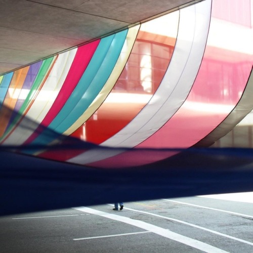 sosuperawesome - Art Installations by Rachel Hayes, on...