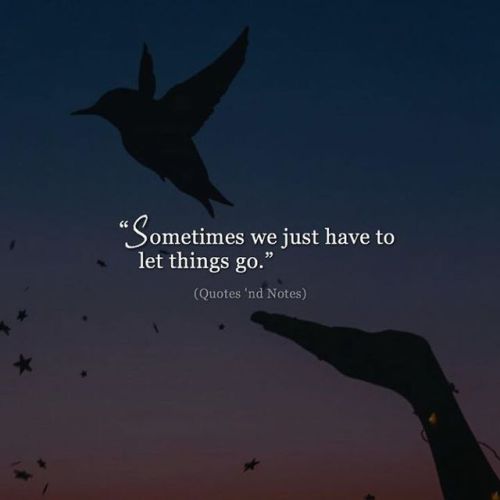 quotesndnotes:Sometimes we just have to let things go. —via...