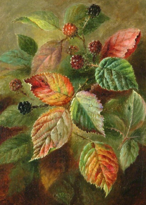 spoutziki-art - Blackberries by Albert Durer Lucas