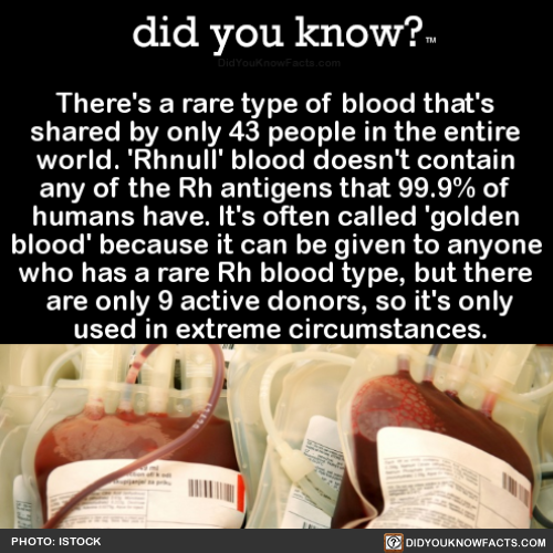 theres-a-rare-type-of-blood-thats-shared-by