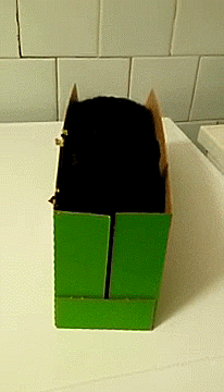 lord-kitschener - A box full of the Void