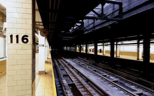 wanderingnewyork - The 116th Street-Columbia University Station...