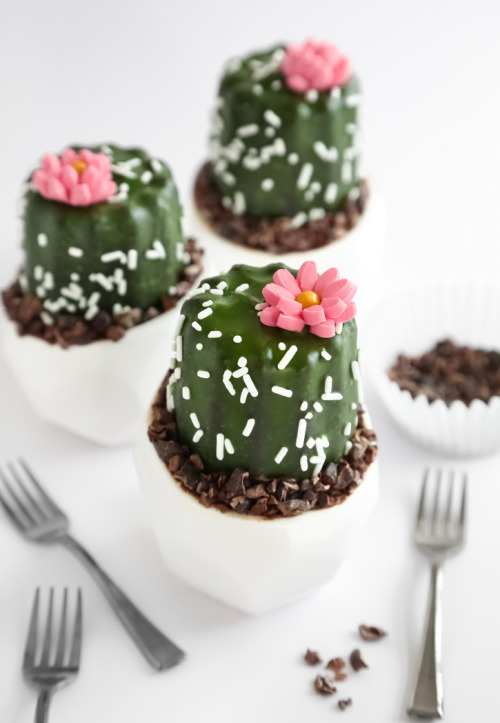 pirickili:sweetoothgirl:Mini Potted Cactus...