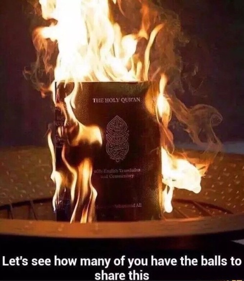 unrepentantwarriorpriest:I disagree with the burning of books,...