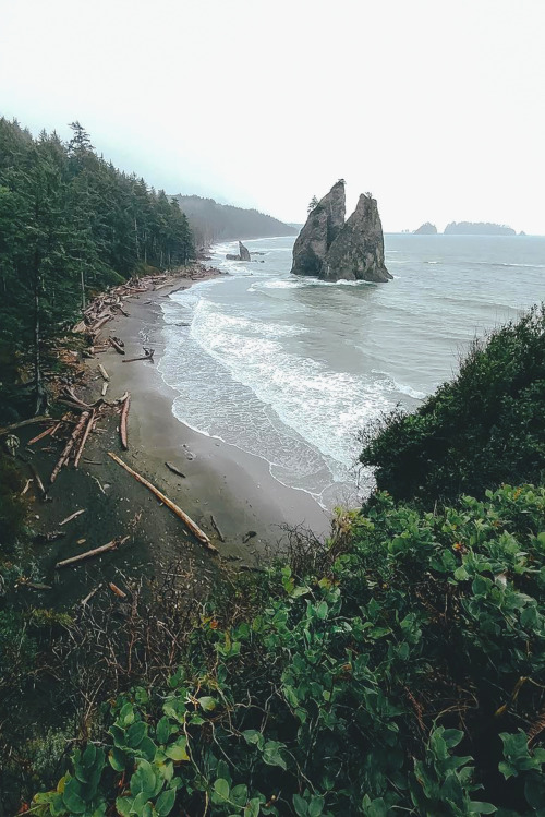 souhailbog:Rainy Washington Coast By Dylan Furst |...