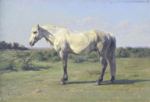 rosa-bonheur - A Grey Horse in a Field, Rosa...