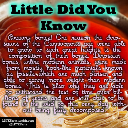 ldykfacts - Many consumers ignorantly believe that all tomato...