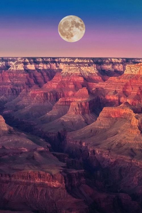 phantastrophe - Grand Canyon, Arizona | Photographer -  Jad Limcaco...