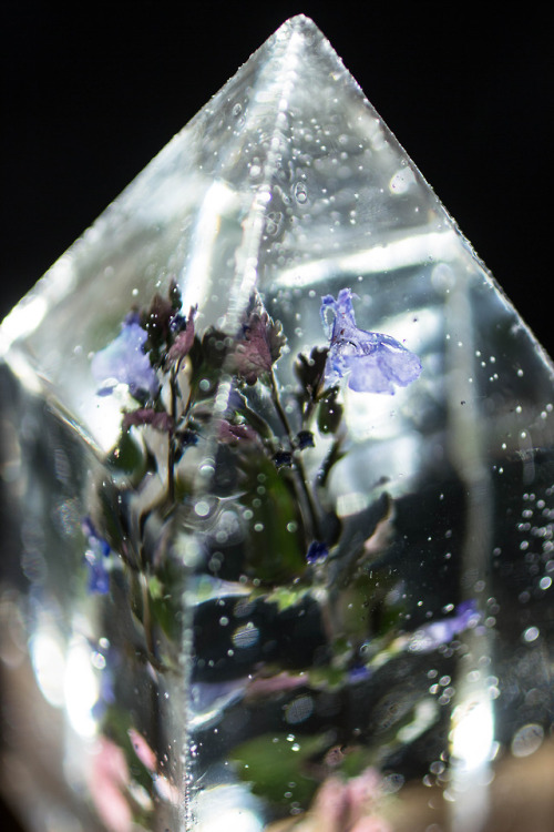 mossofthewoodsjewelry - Floral Prism Light Giveaway!Hey folks!...