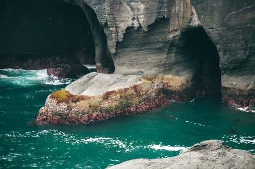 hannahkemp:Sea CavesPrints//Instagram