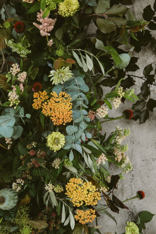 peone - Urban Florals by Swallows & Damsons | Design*Sponge