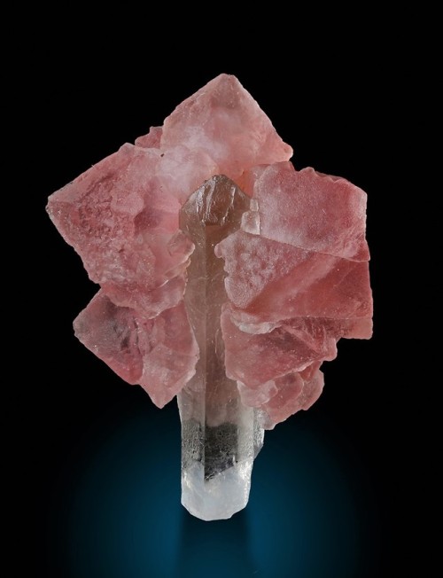 bijoux-et-mineraux:Pink Fluorite and Smoky Quartz - Les...