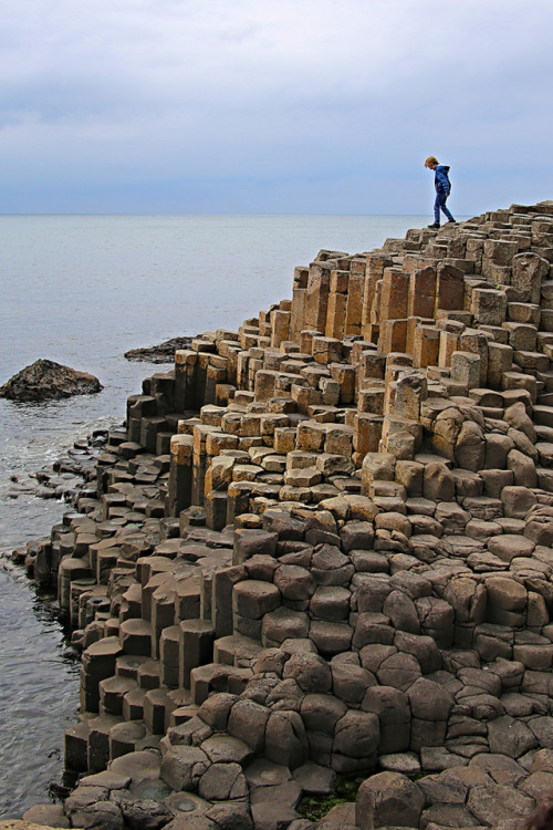 allthingseurope:Giant’s Causeway, Northern Ireland (by...
