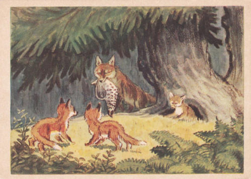 sovietpostcards - Fox Cubs postcard by M. Kuks, 1958In my...