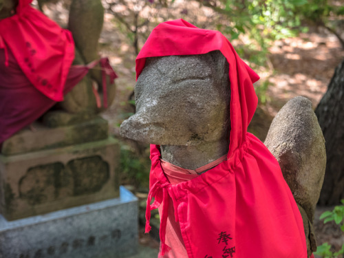 maruhi - 赤いキツネNabeko Inari