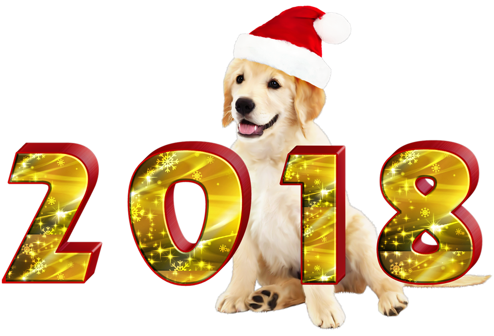 paul-web-logs-chinese-new-year-of-the-dog-2018-4716