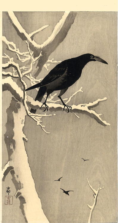 artemisdreaming - Jungle Crow, 1910  Ohara Shoson
