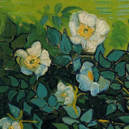 mare-di-nessuno - Flowers courtesy of Vincent Van GoghIrises,...