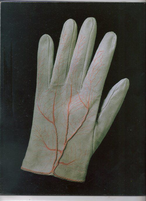 christopherbarnard - Glove by Meret Oppenheim 