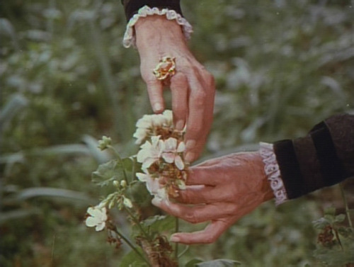 zoebalthus - Image extraite de Mandala - Un film japonais réalisé...