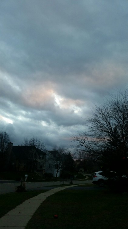 foxm00n:The sky looked like a Bob Ross painting yesterday.