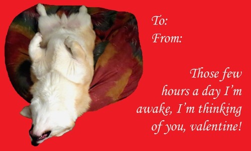 lady-voidkiss - scampthecorgi - Here are some Valentines from...