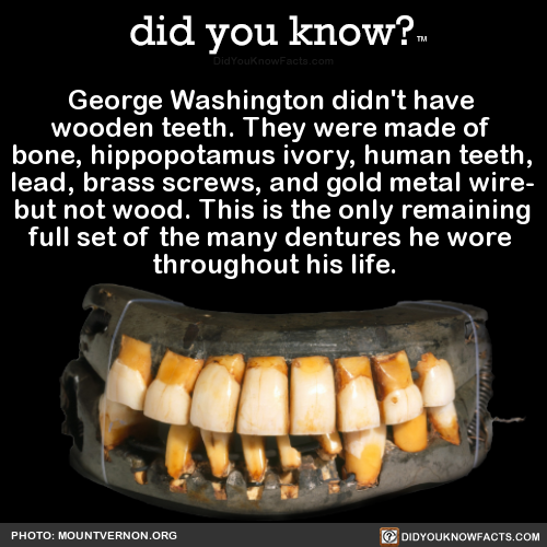 george-washington-didnt-have-wooden-teeth-they