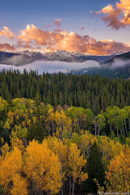 jswanstromphotography:Autumnal Layers by Michael_Underwood on...