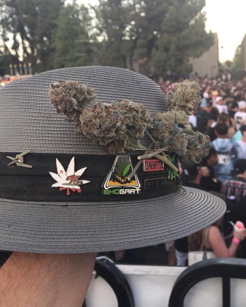 hustlecannabis - Homie’s hat was on point! 