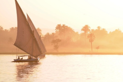 egyptianways - A felucca (فلوكة‎‎) is a traditional wooden sailing...