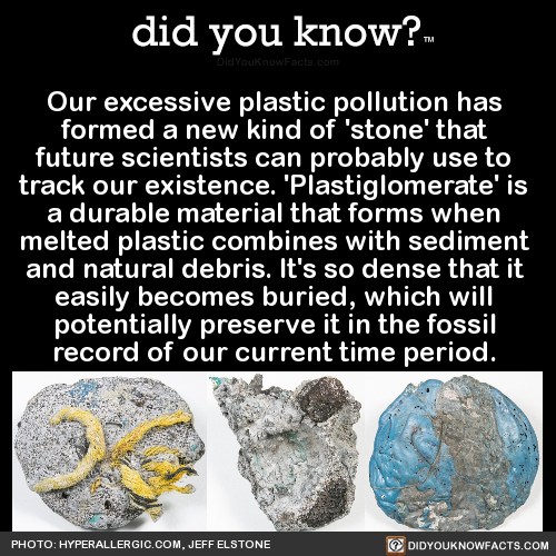 did-you-kno - Our excessive plastic pollution has formed a new...