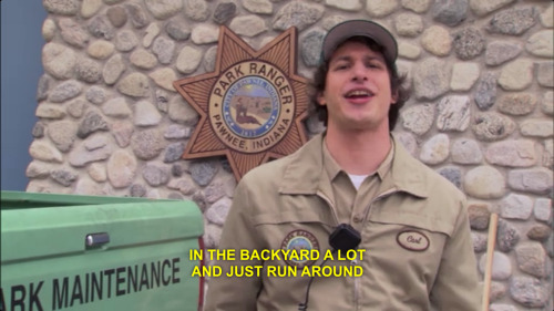 mistedyellow:parks and rec had the best minor characters