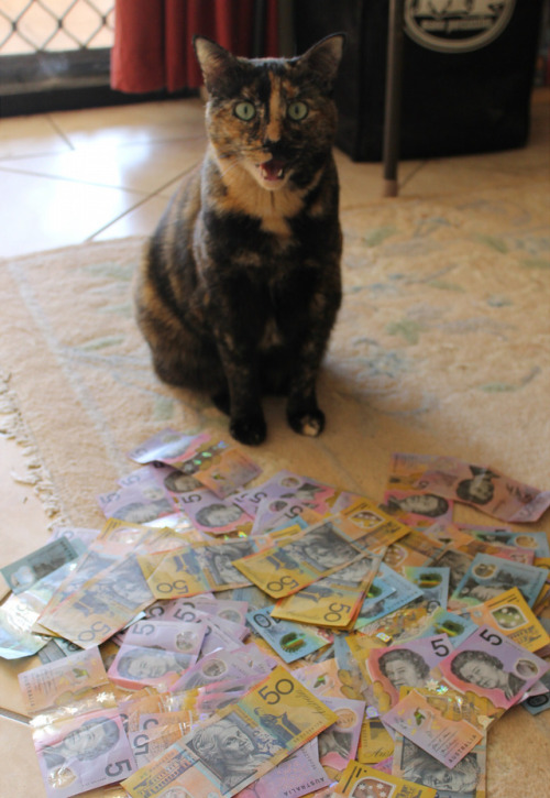 a-queenoffairys - reblog the money Ziggy for good fortune!