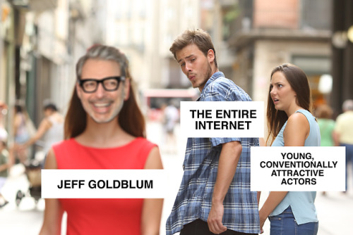 cageyperry:In this house, we love Jeff Goldblum