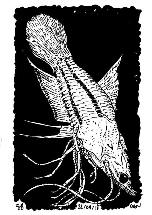 thedandraws - Eighth octem. Daily monsters from @chimeride.